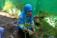 IMG-20200313-WA0044