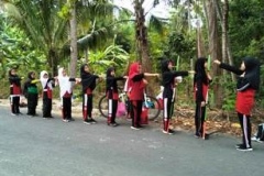 PMR Mula